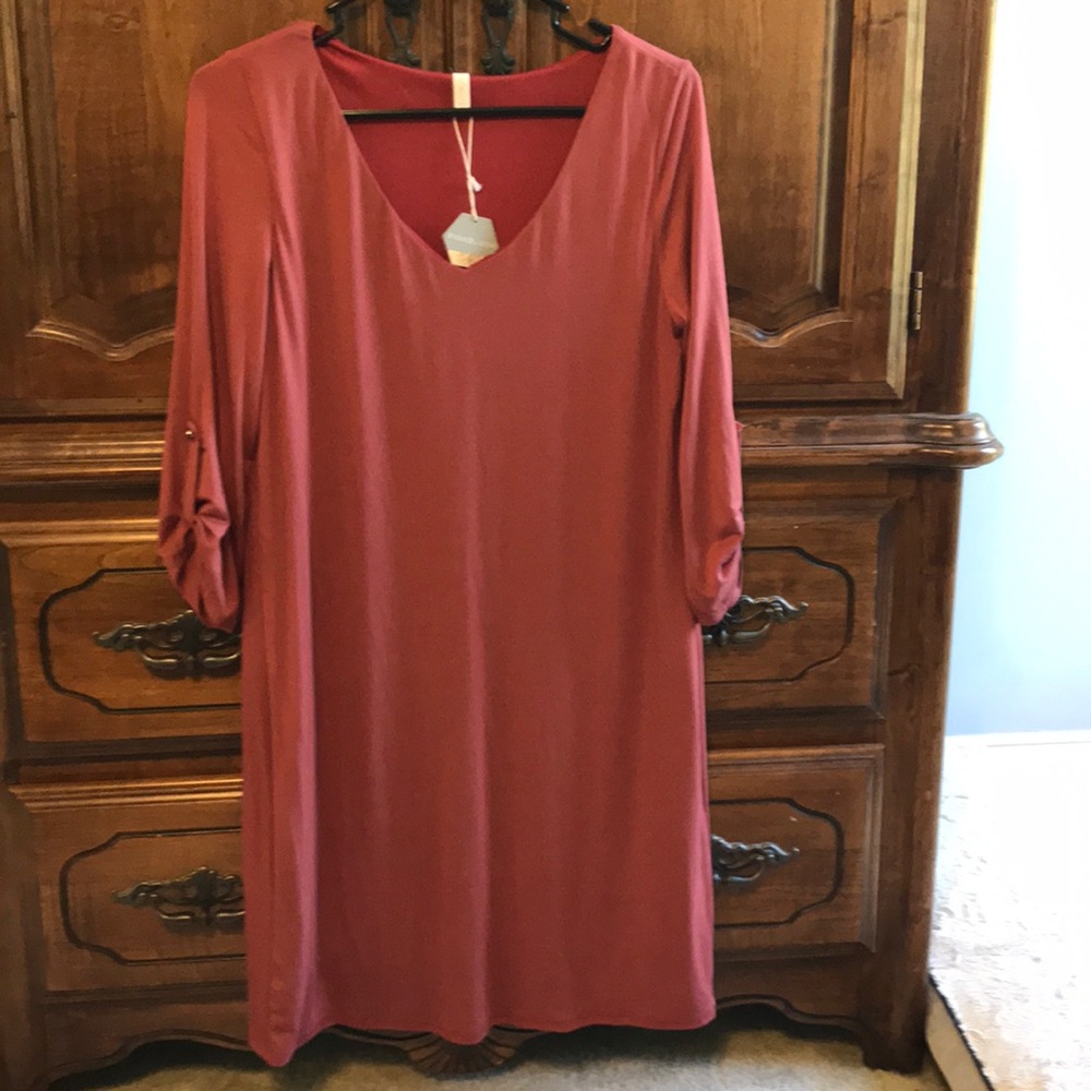 NWT Maternity nursing Pinkblush rust orange dress